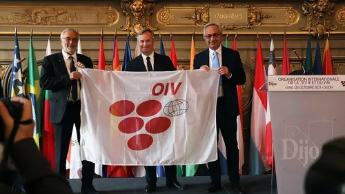 Les infos qu’il ne fallait pas rater cette semaine en Côte d’Or 